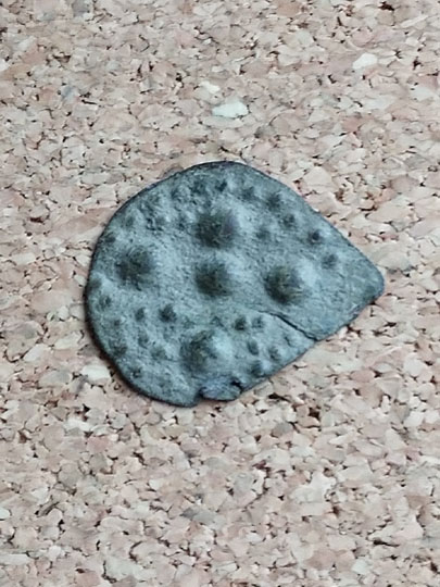 Anglo-Saxon Lyre Plectrum